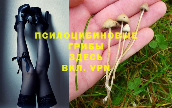 скорость Коряжма