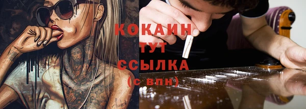 спиды Корсаков