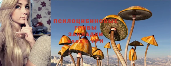 синтетический гашиш Костерёво