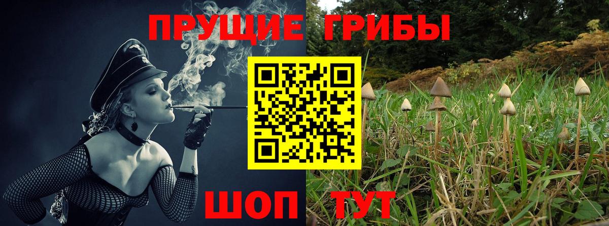 Чебаркуль  Галлюциногенные грибы Cubensis  Вход с VPN  Псилоцибиновые грибы MAGIC MUSHROOMS 