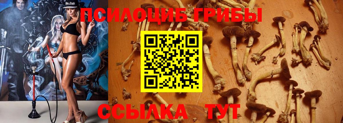 Галлюциногенные грибы мицелий Чебаркуль